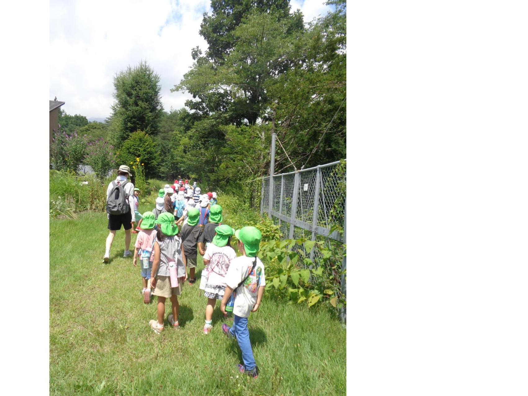 2026年7月21日_保育園_幼稚園交流会_散歩