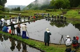 青鬼五月祭り