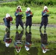 青鬼五月祭り