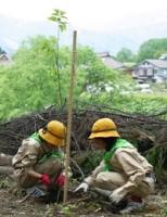 大北地区植樹祭