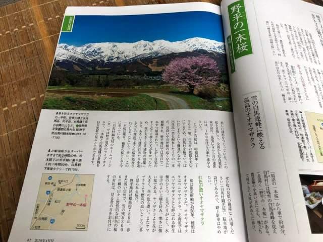 雑誌サライに掲載されている野平の一本桜の写真