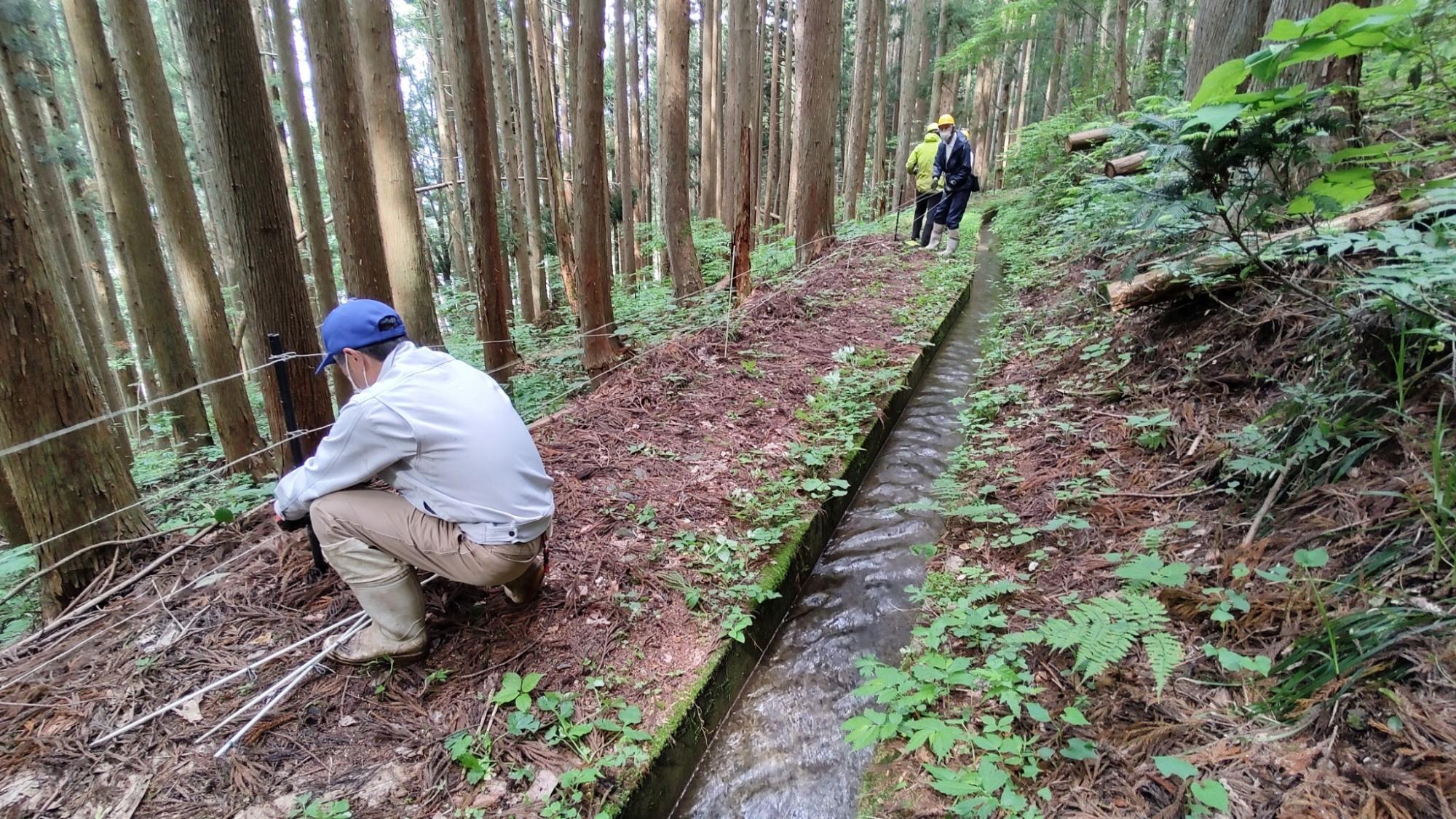 野平電気柵設置
