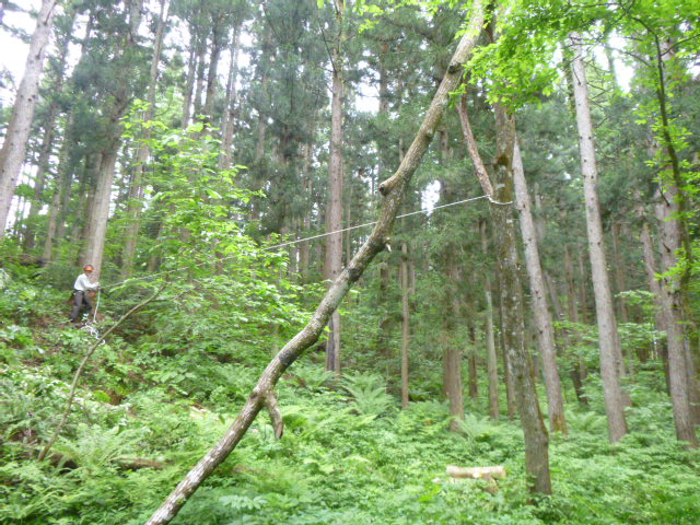 ウインチをかけます