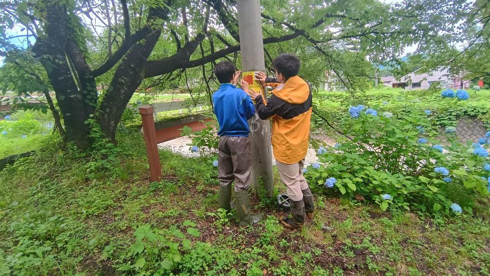 クマ看板設置