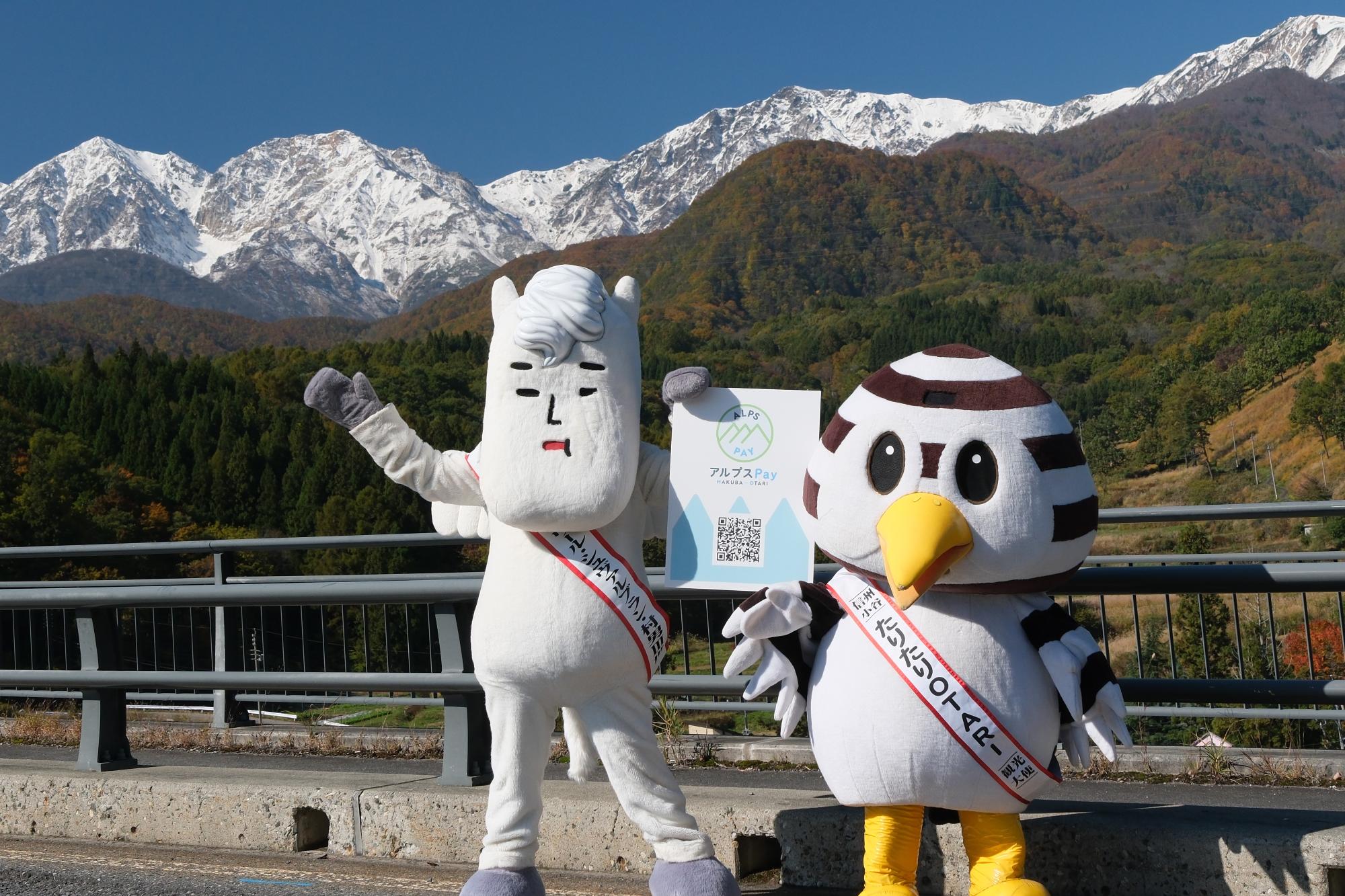 フォトニュース令和7年（2025年）11月