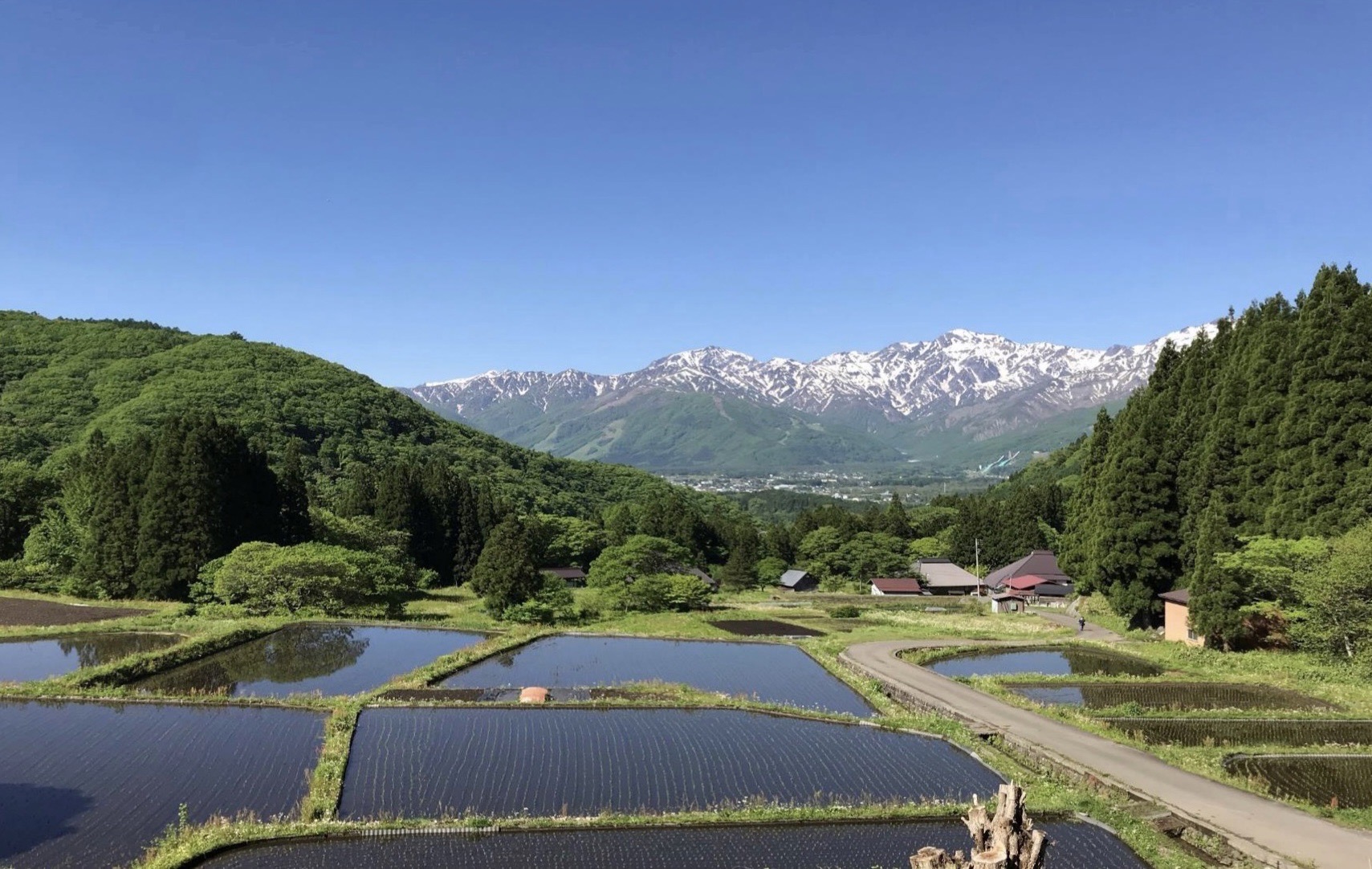 青鬼棚田