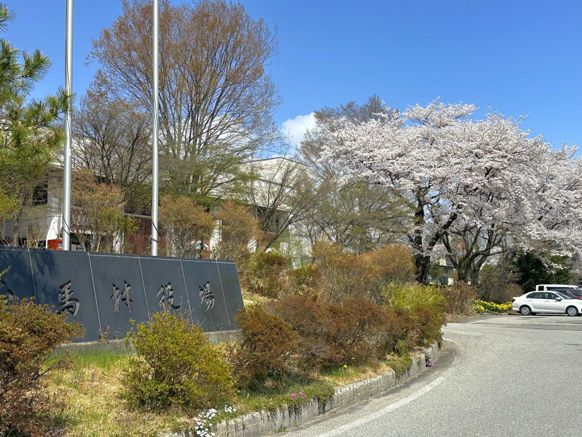 白馬村役場