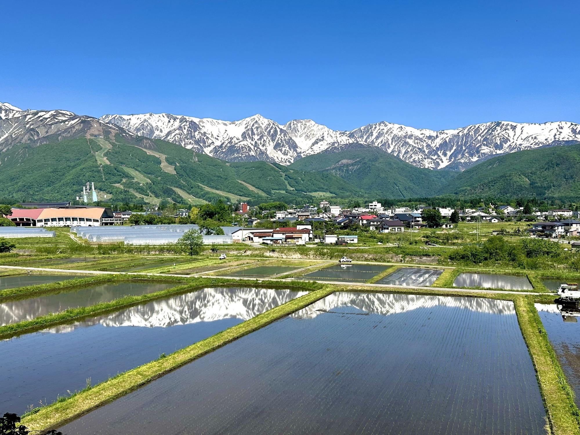 6月景色