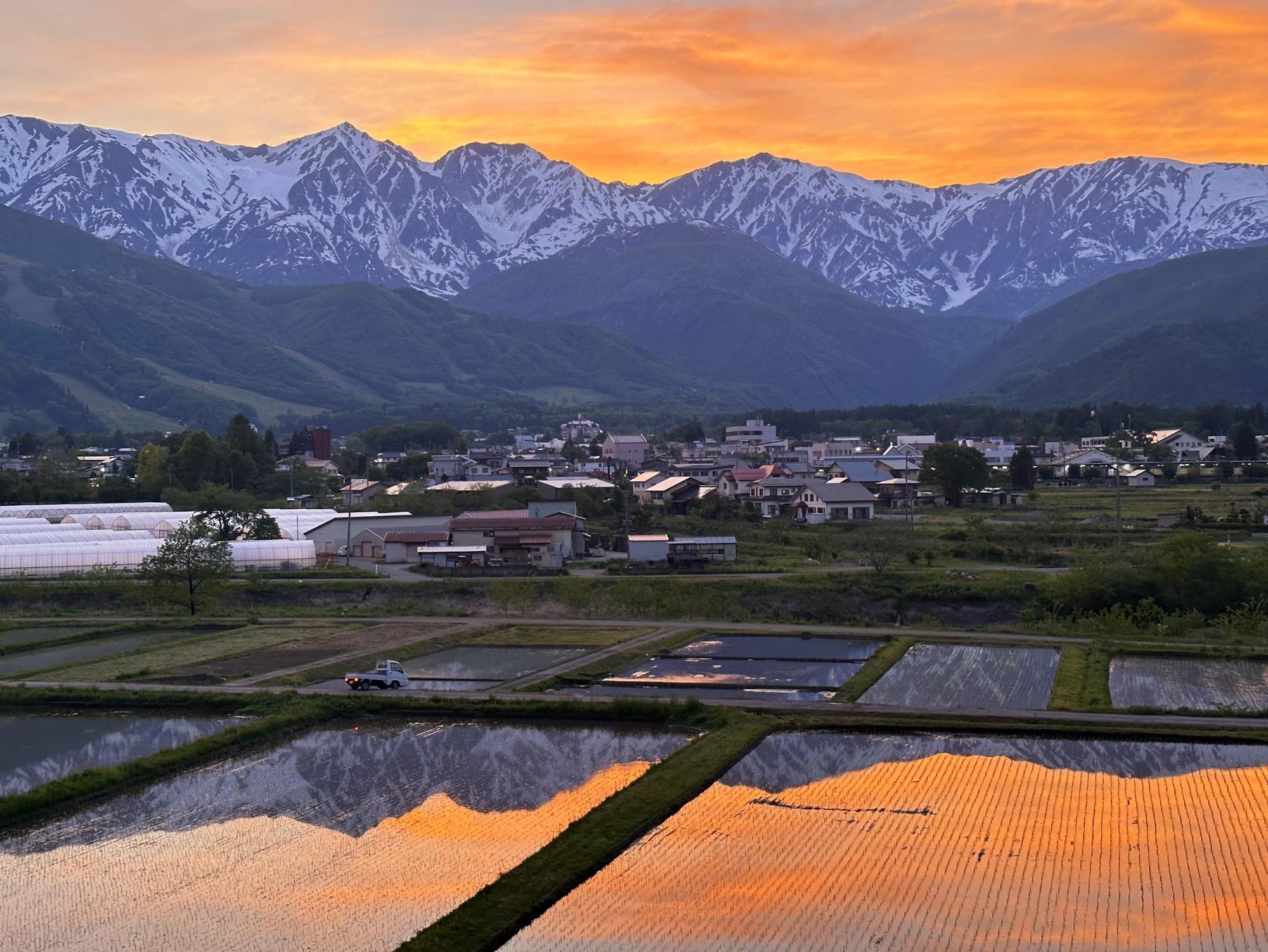 6月景色
