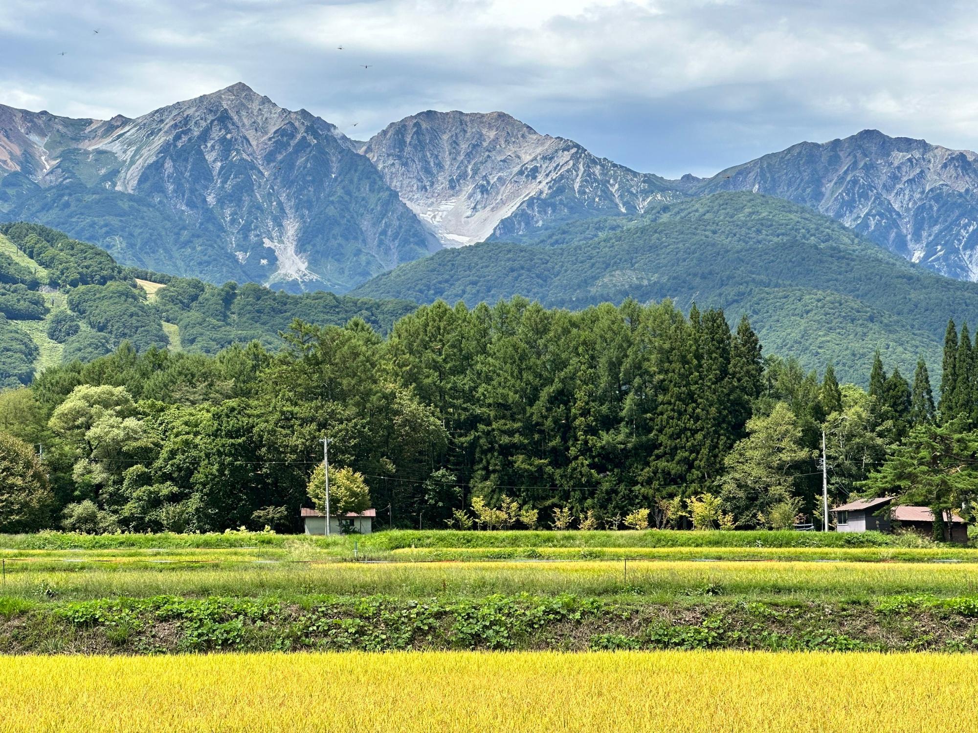 白馬村の景色9月