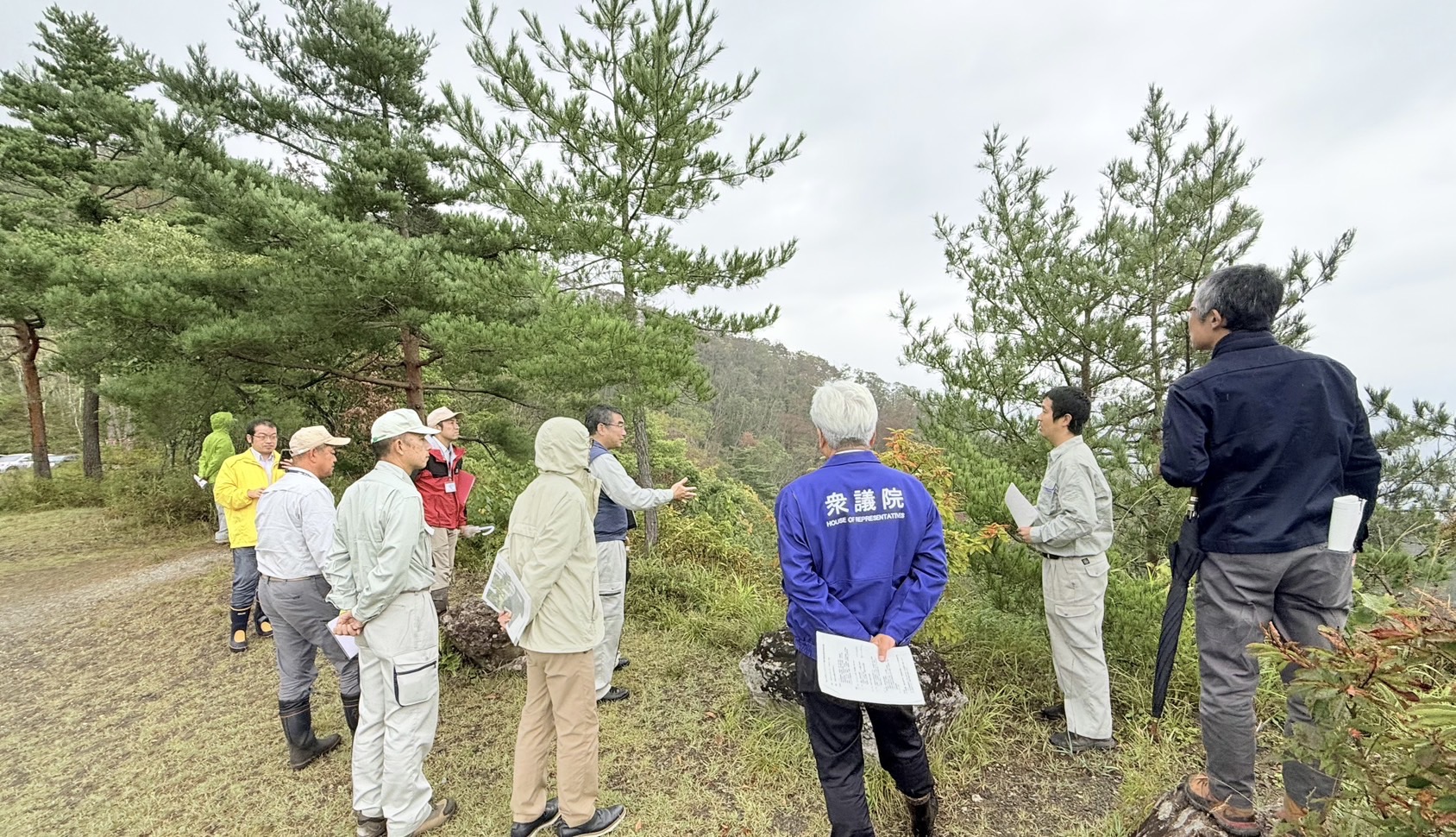 地元国会議員と林野庁、長野県の担当者とのナラ枯れ視察