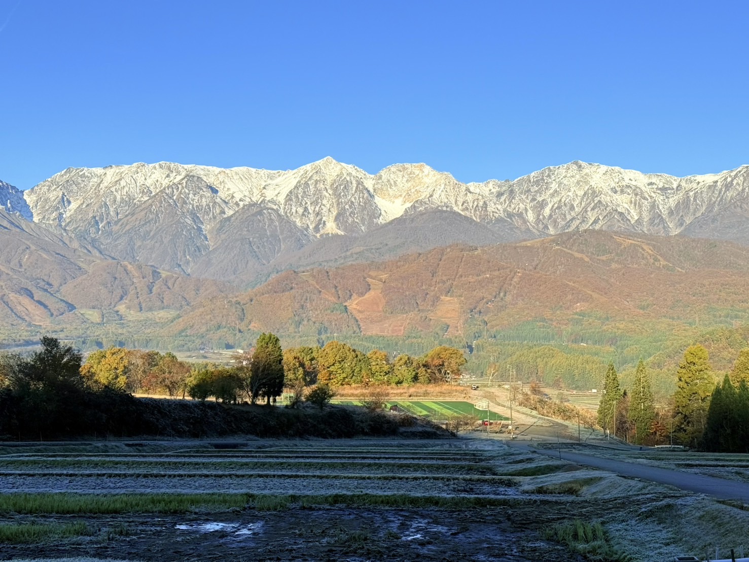 11月景色