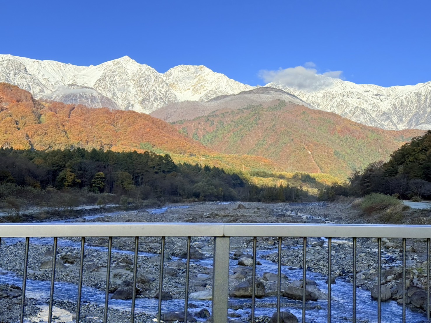 11月景色