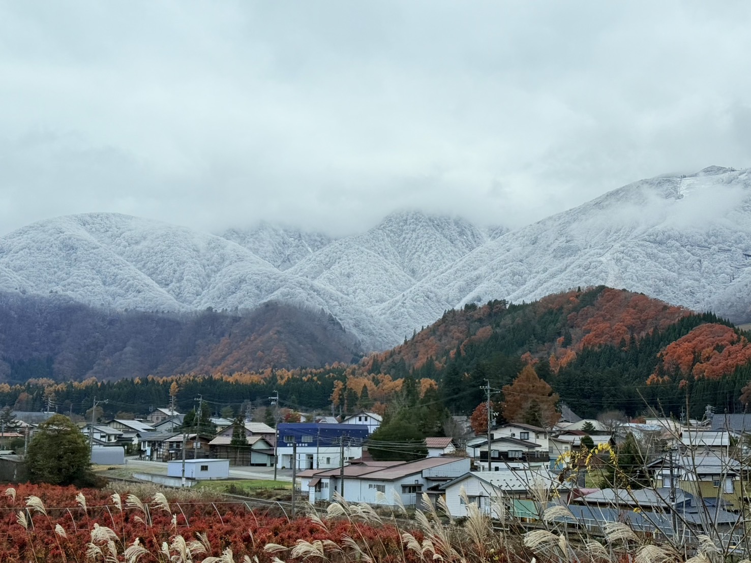 11月景色