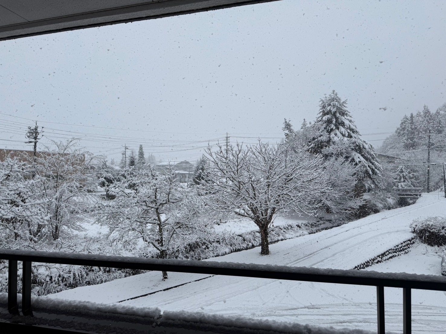 11月景色