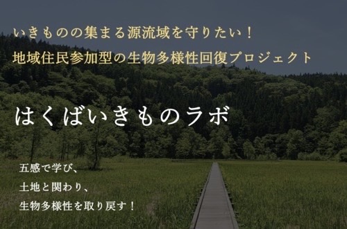 はくばいきものラボ