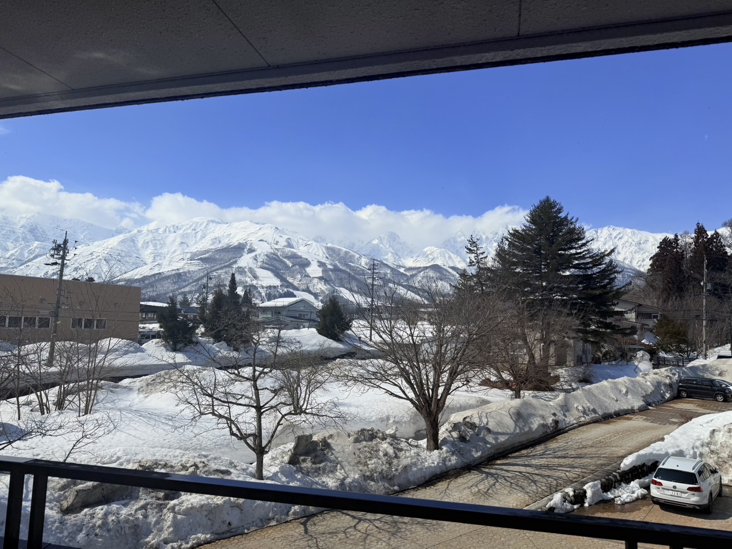 3月景色