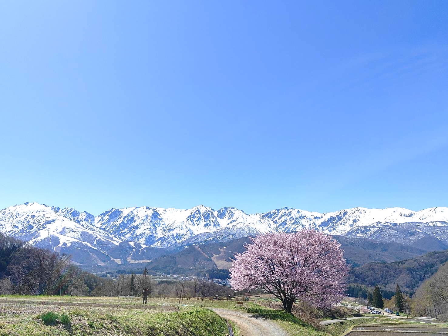 景色4月