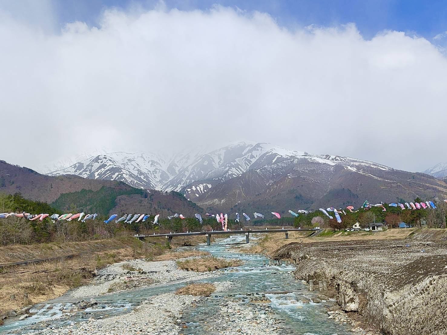 5月景色