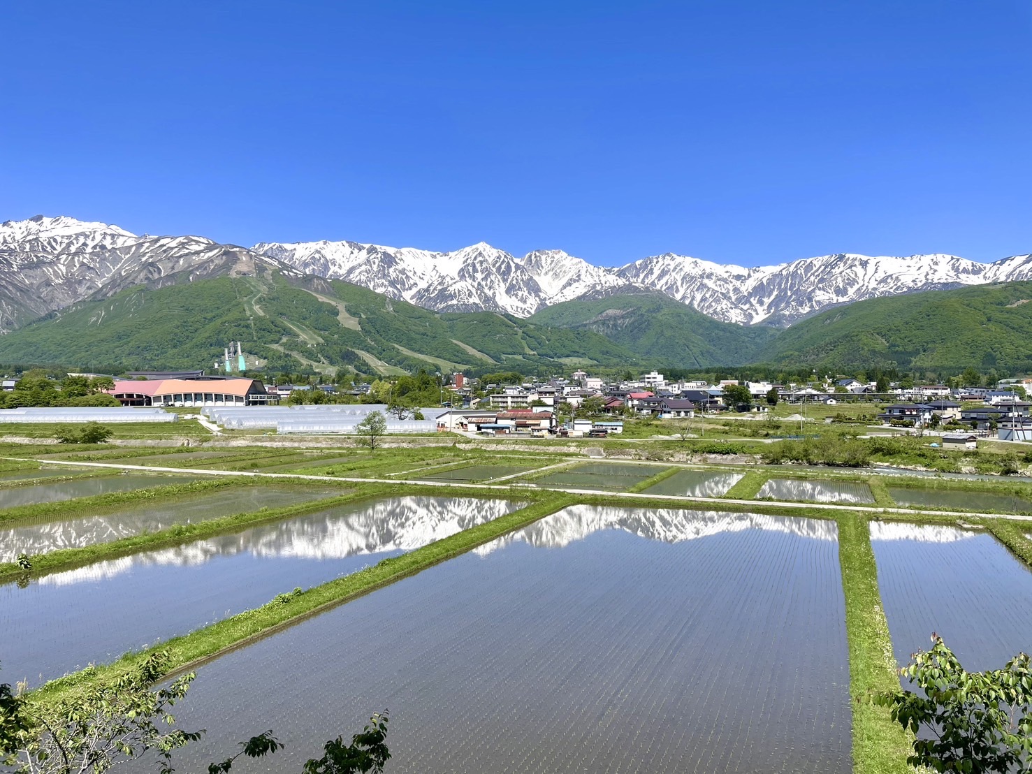 景色5月