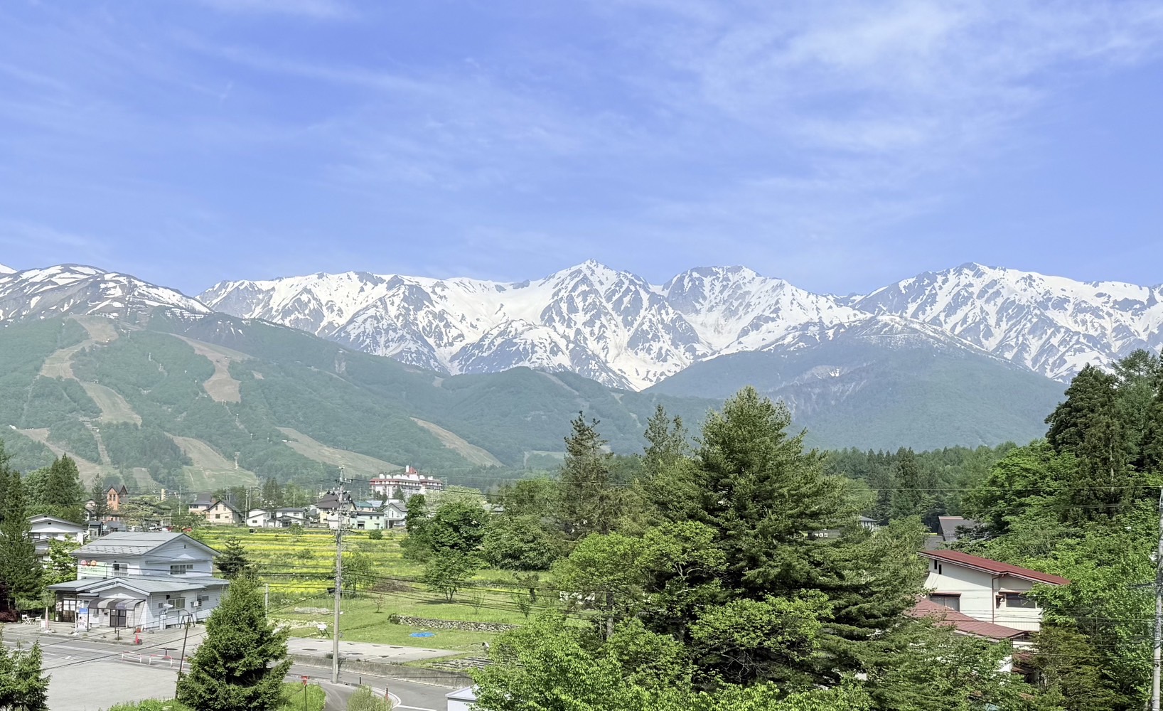 6月景色