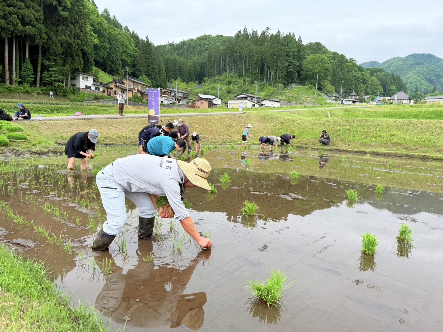 白馬八方の日本酒「黒菱」の酒づくりプロジェクトに参加
