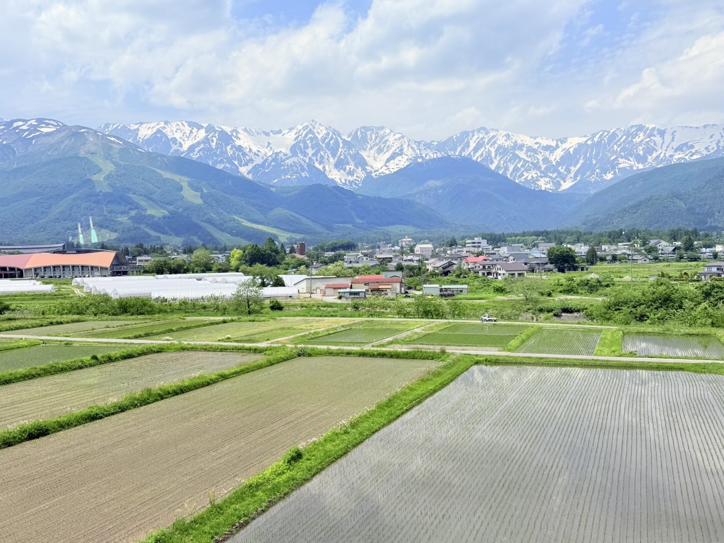6月景色