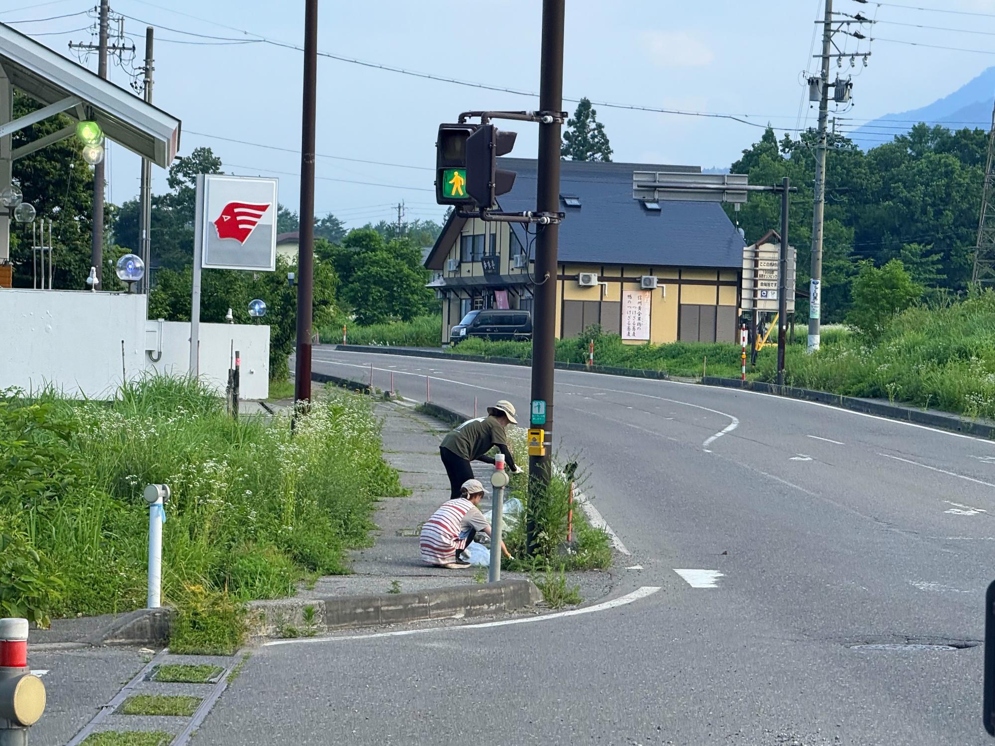 役場職員で村内施設や道路脇の草刈りや草むしりを実施