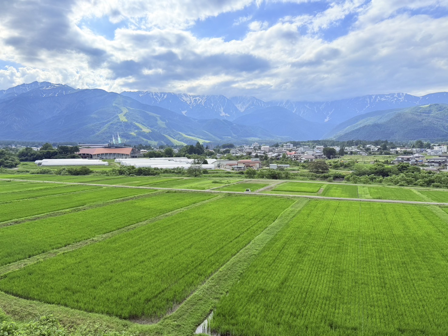 7月景色