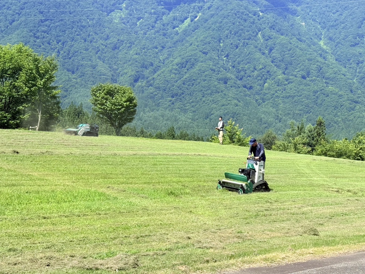 白馬スノーハープクロスカントリー大会に向けた草刈り