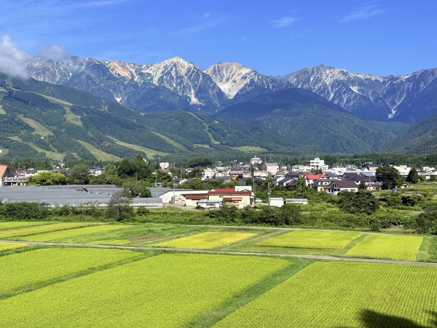 8月景色