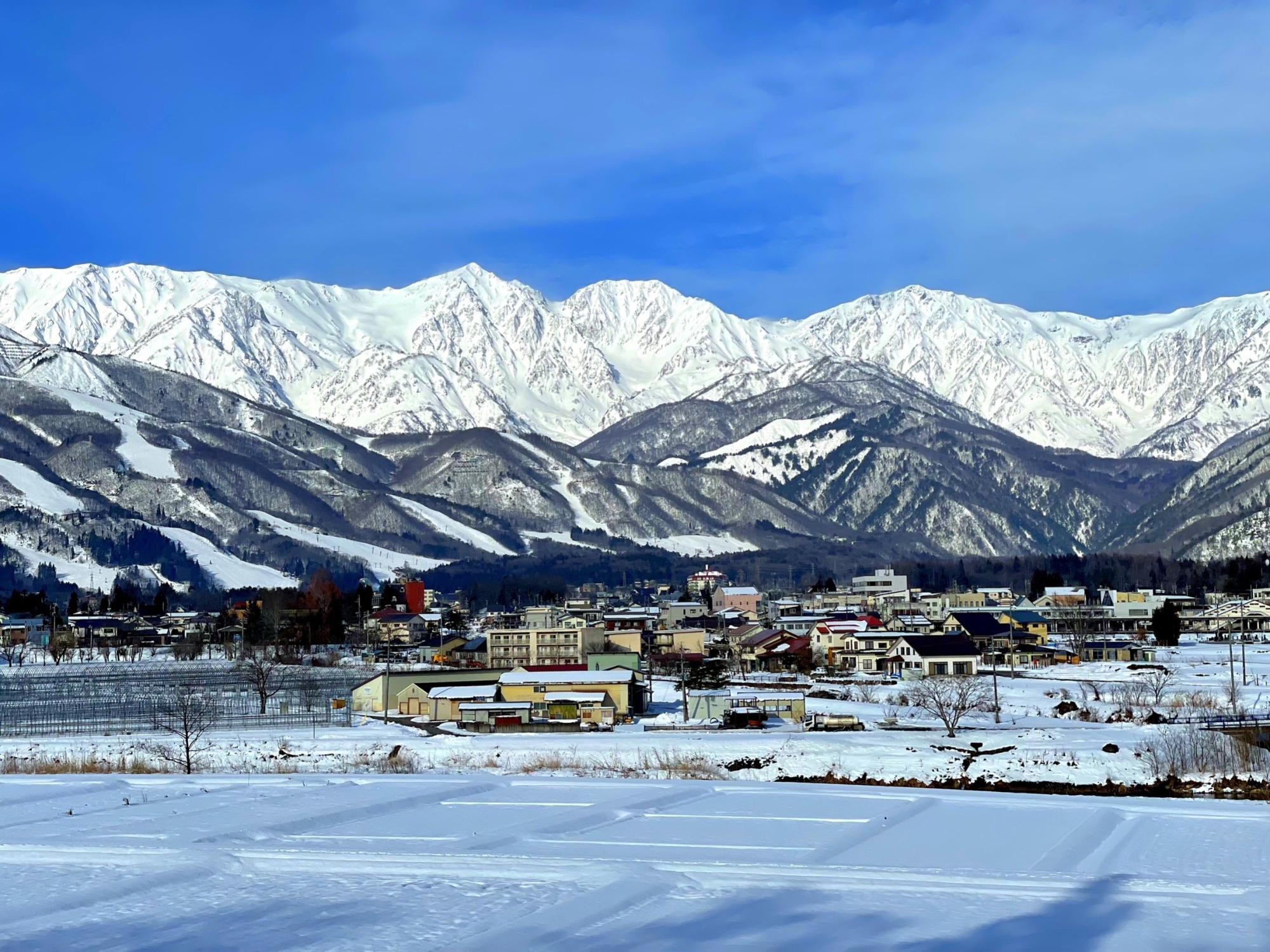 雪景色12.28