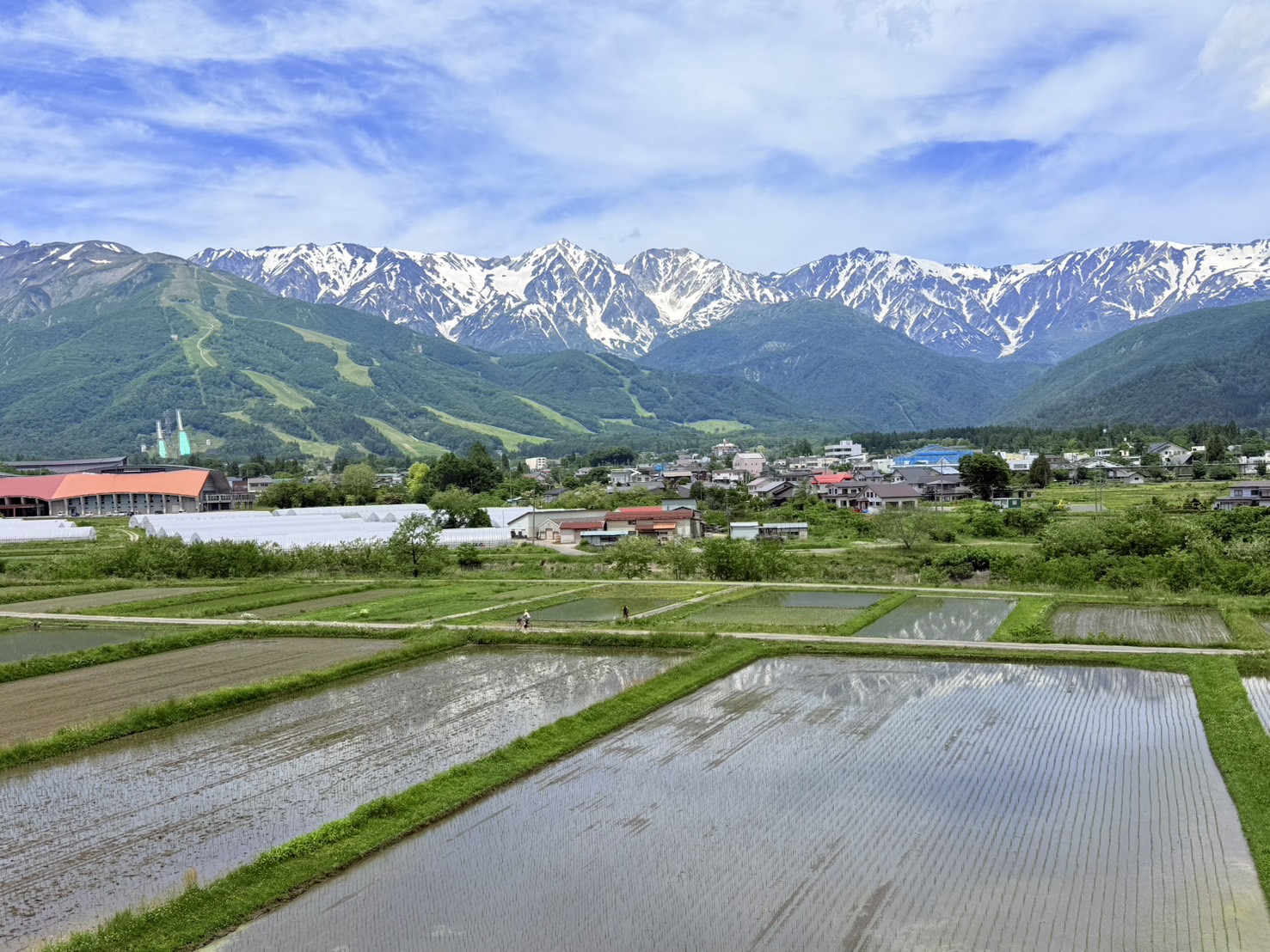 景色5月