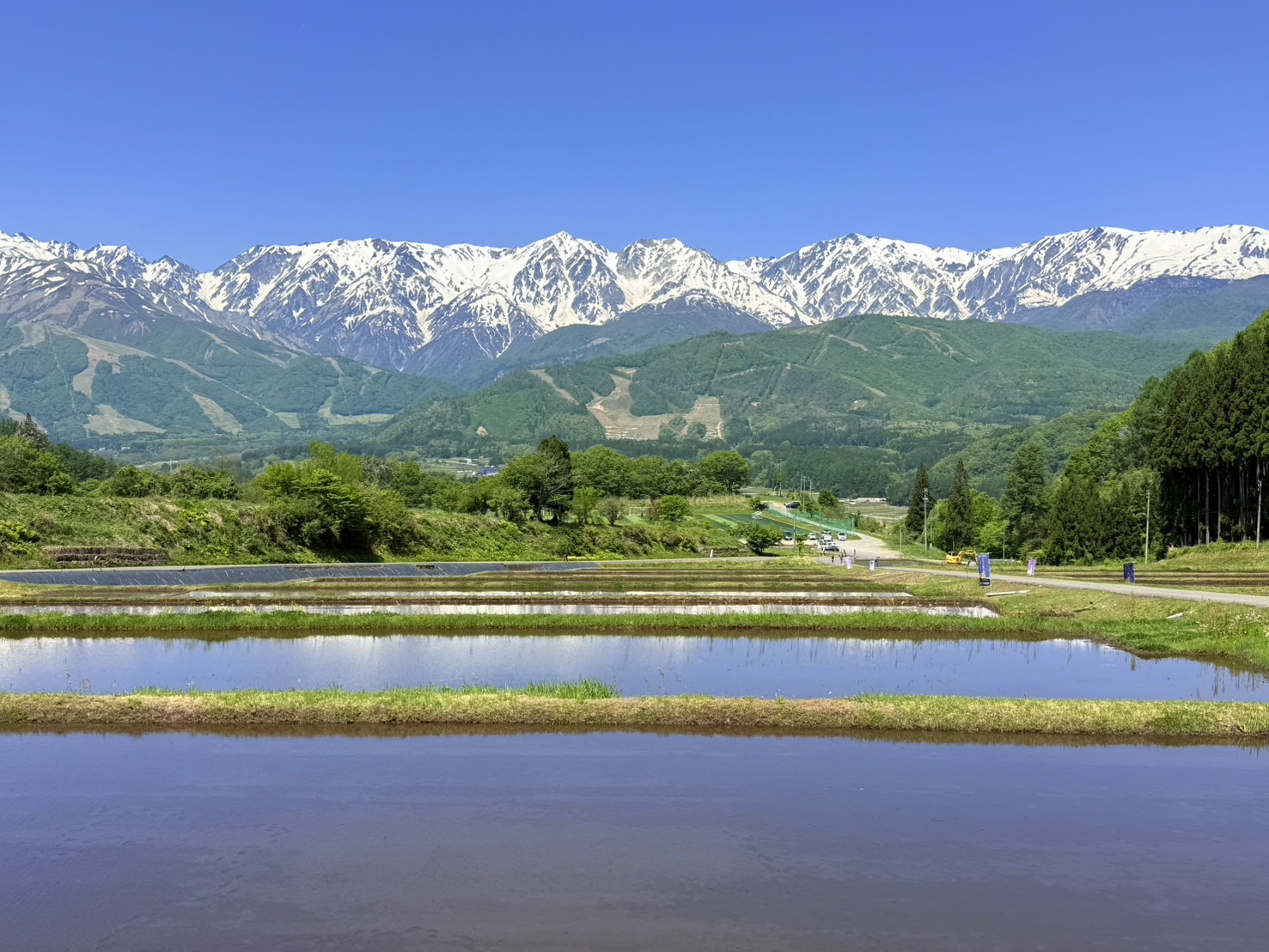 景色5月