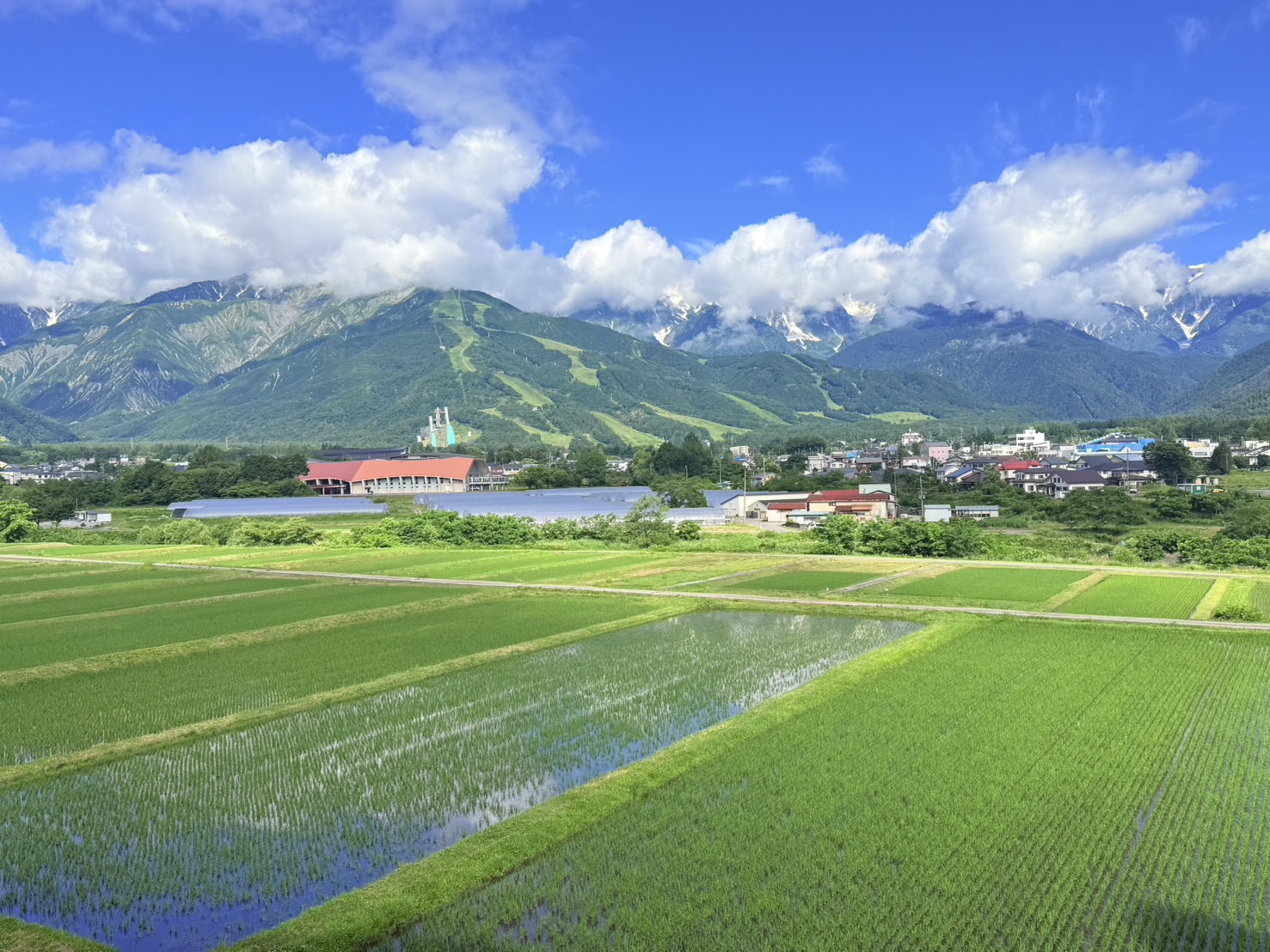 景色6月