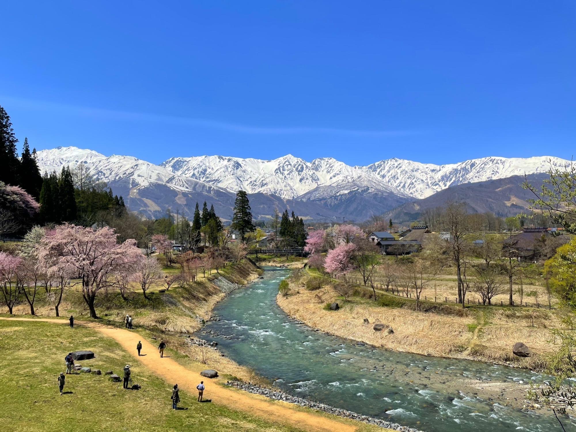 大出公園