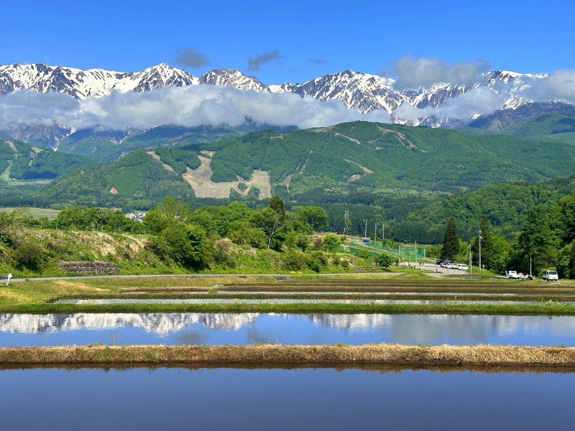 5月の白馬村