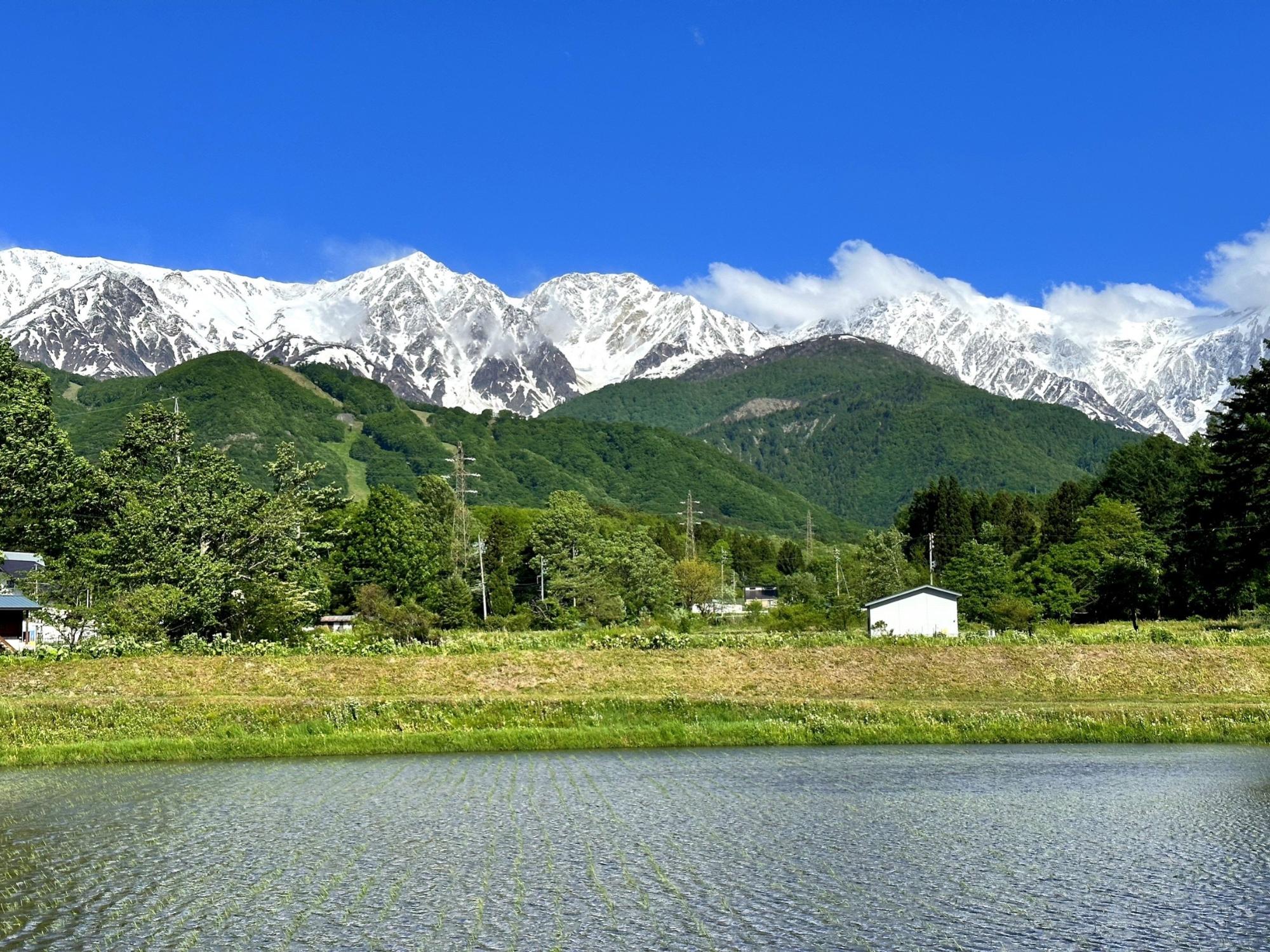 5月の白馬村