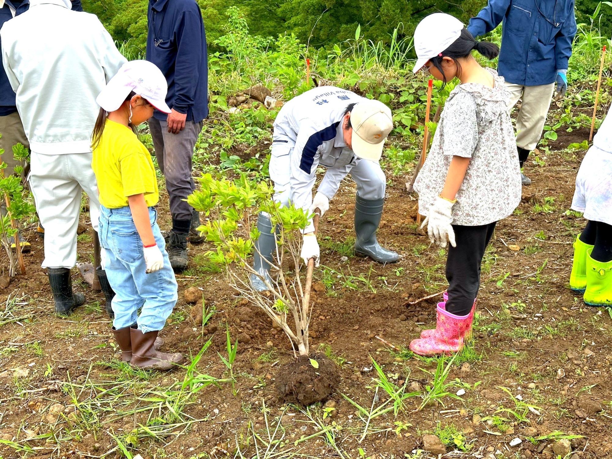 大北地区森林祭・長野県植樹祭
