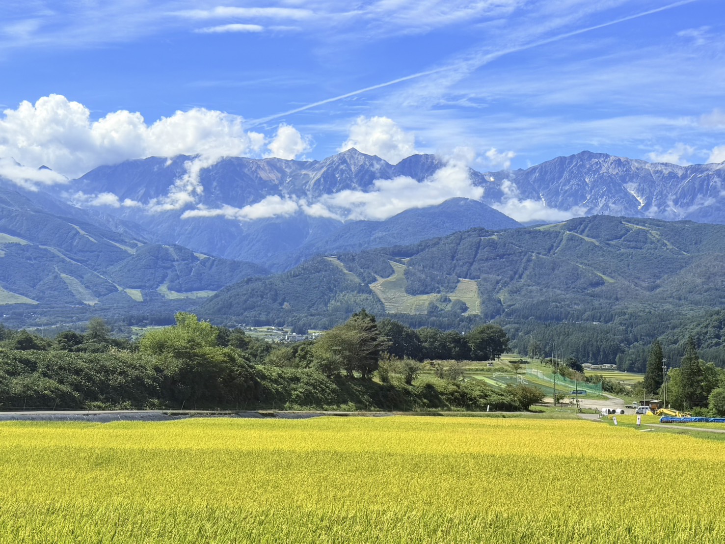 9月景色