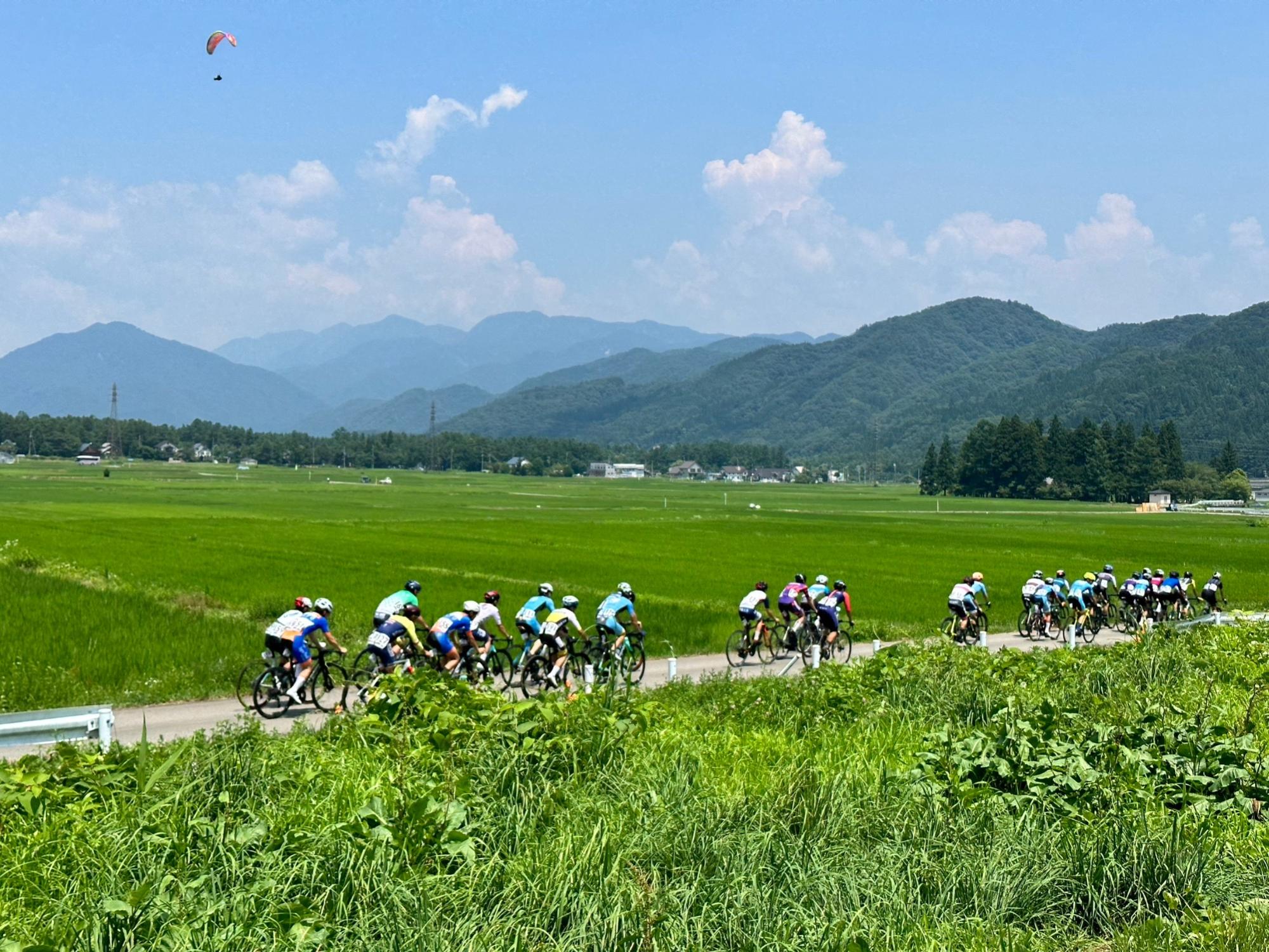 全日本学生クリテリウムシリーズ白馬ラウンド