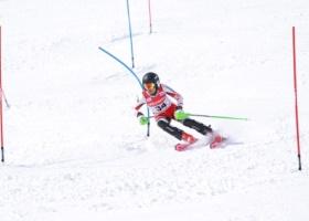 旗門を通過しながら斜面を滑るスキー選手の写真