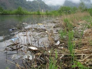 不法投棄されたごみで汚れた河川の様子の写真