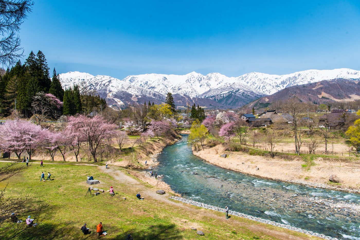大出公園から望む白馬の山なみと村の春