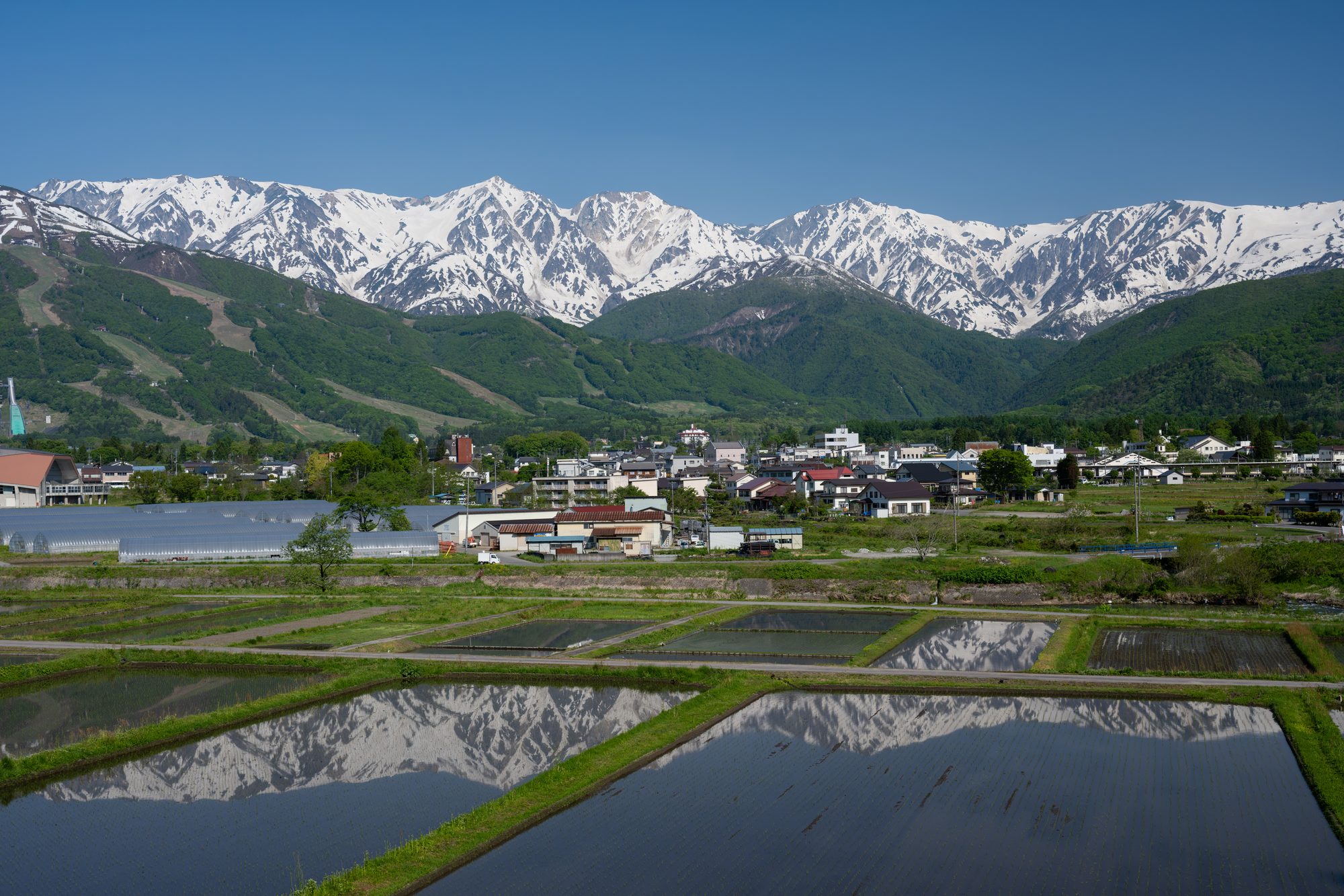 現在の白馬村・水を張った田と白馬の山なみ