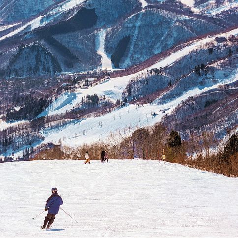 体験・アクティビティ