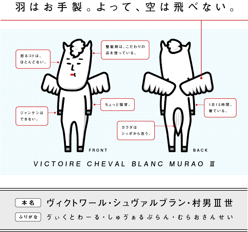 羽はお手製。よって、空は飛べない。