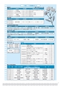 広報はくば10月号