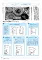 広報はくば9月号